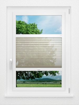 Preview LYSEL HOME Plissee 110A Loke 1