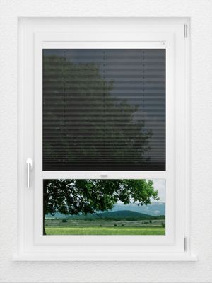 Preview LYSEL HOME Plissee 139A Loke 0