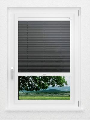 Preview LYSEL HOME Plissee 306A Hedda 0