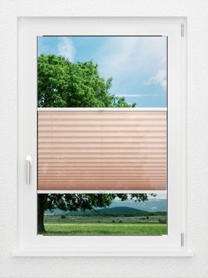 Preview LYSEL HOME Plissee 440A Bayana 0