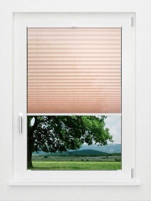 Preview LYSEL HOME Plissee 440A Bayana 1