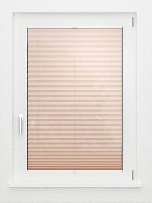 Preview LYSEL HOME Plissee 440A Bayana 2
