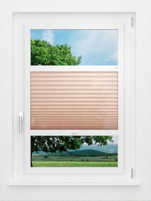 Preview LYSEL HOME Plissee 440A Bayana 0