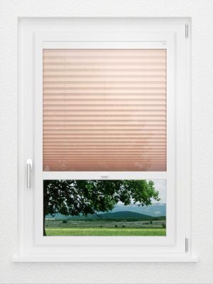 Preview LYSEL HOME Plissee 440A Bayana 1
