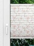 Sakura 2.311.77 Fensteransicht