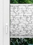 Sakura 2.311.97 Fensteransicht
