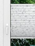 Night Flower 4.161.89 Fensteransicht