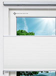 Honeycomb Balto Dark 2.361.37 Fensteransicht