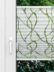 Surprice Light 4.315.99 Fensteransicht
