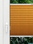 Colour Grain 3.135.68 Fensteransicht