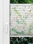 Lichtnelke 2.346.47 Fensteransicht