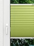 Color Pearl 1.116.16 Fensteransicht