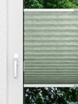 Sakura uni 2.503.27 Fensteransicht