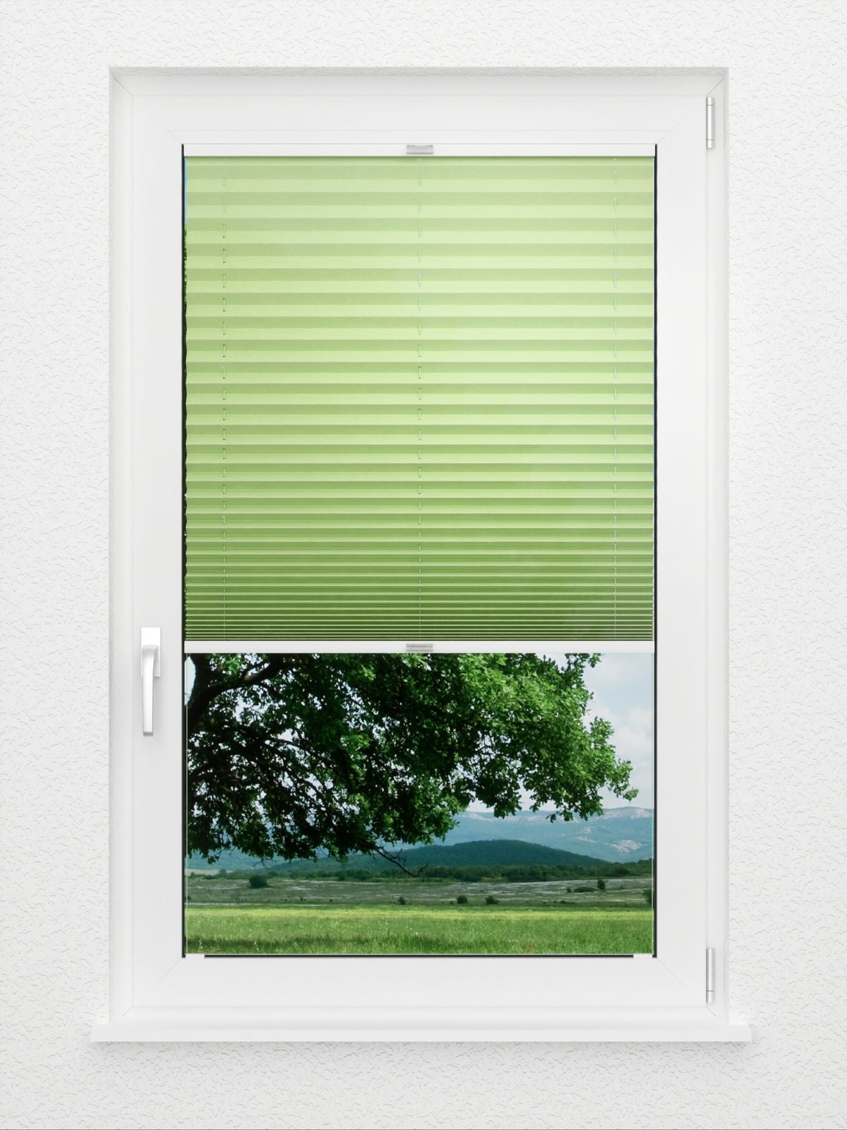 Detailansicht Plissee Colour Life B1 1.020.66