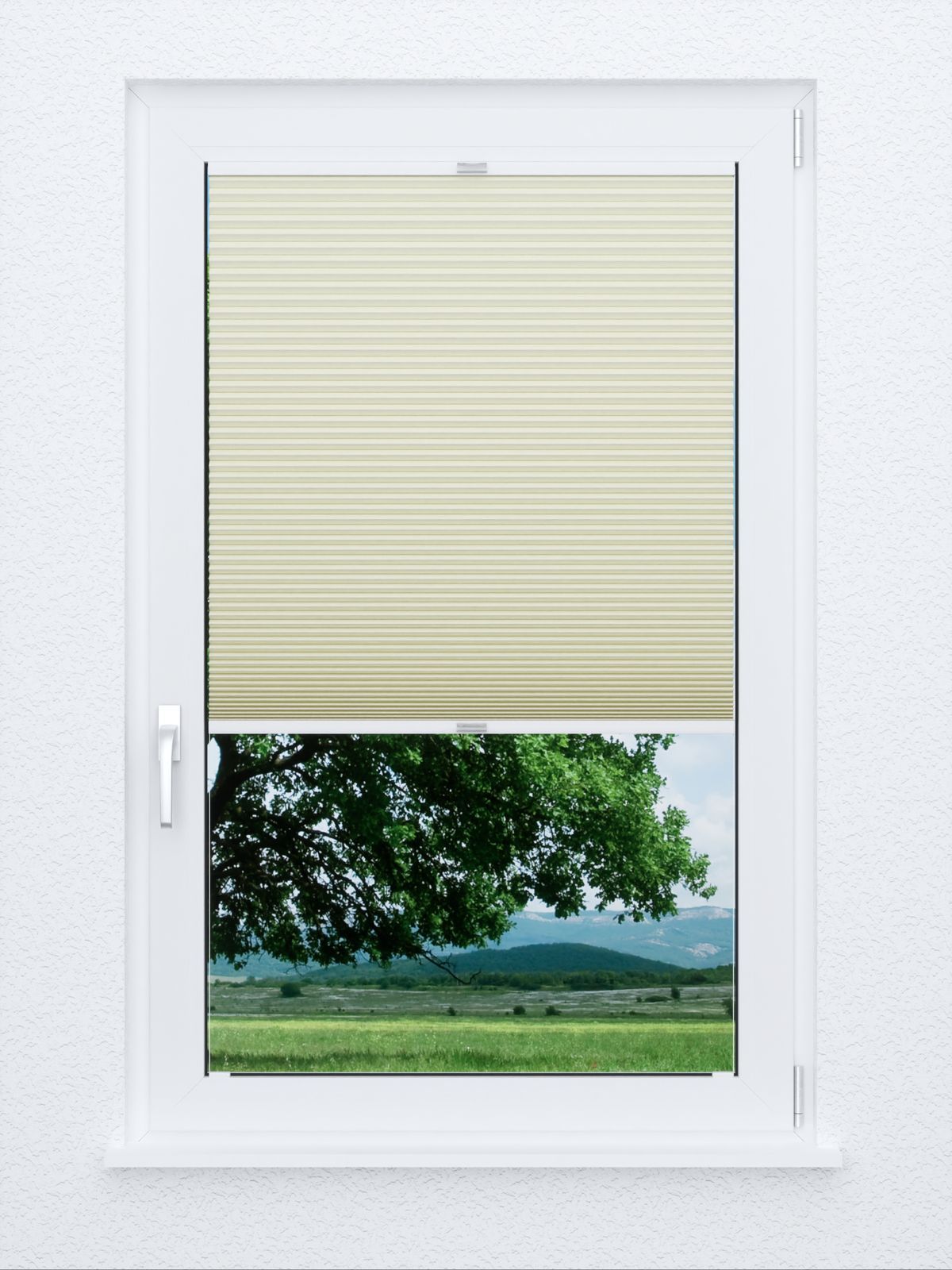 Detailansicht Honeycomb Forta 4.701.21