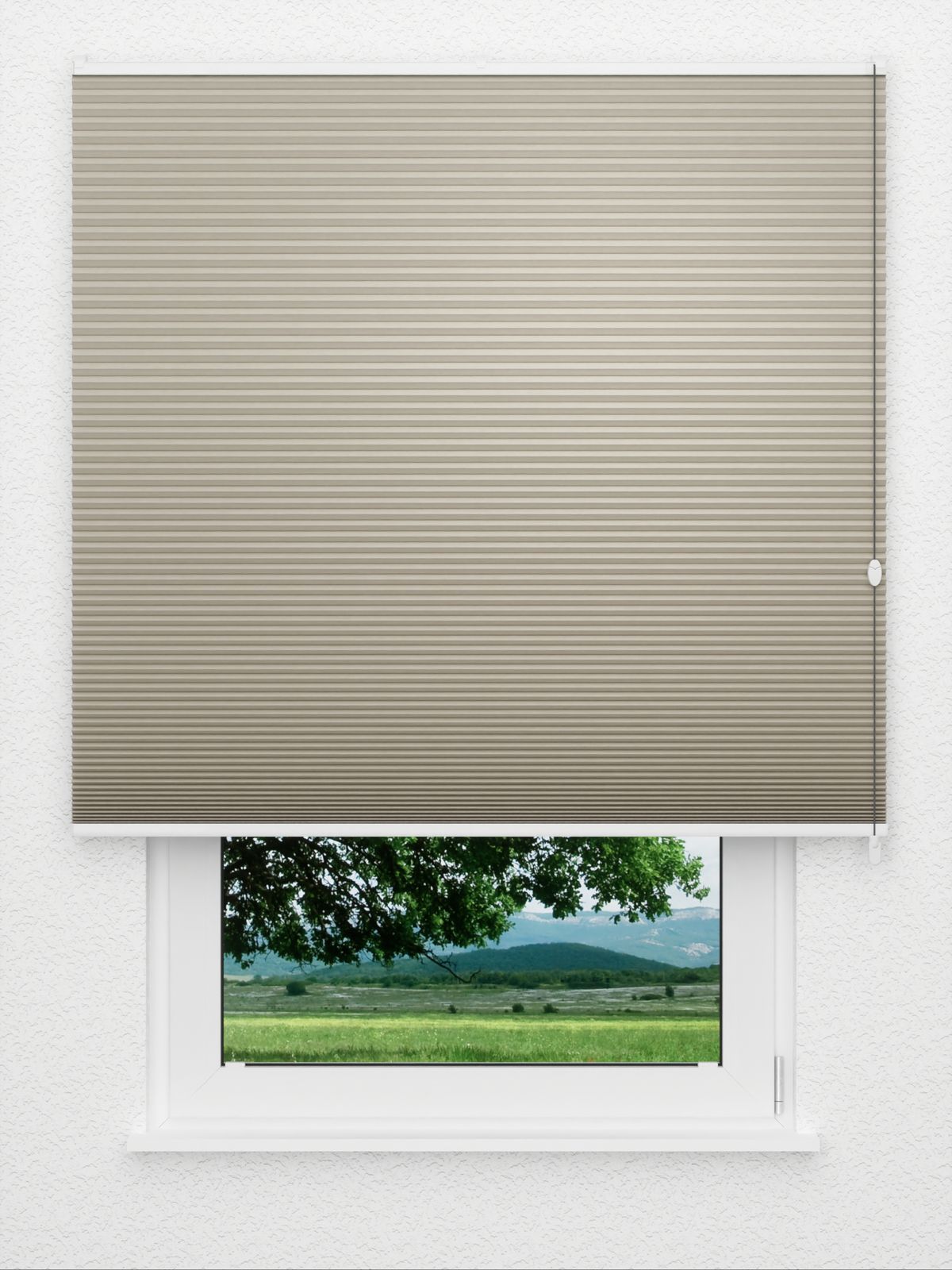 Detailansicht Honeycomb Balto 1.360.46