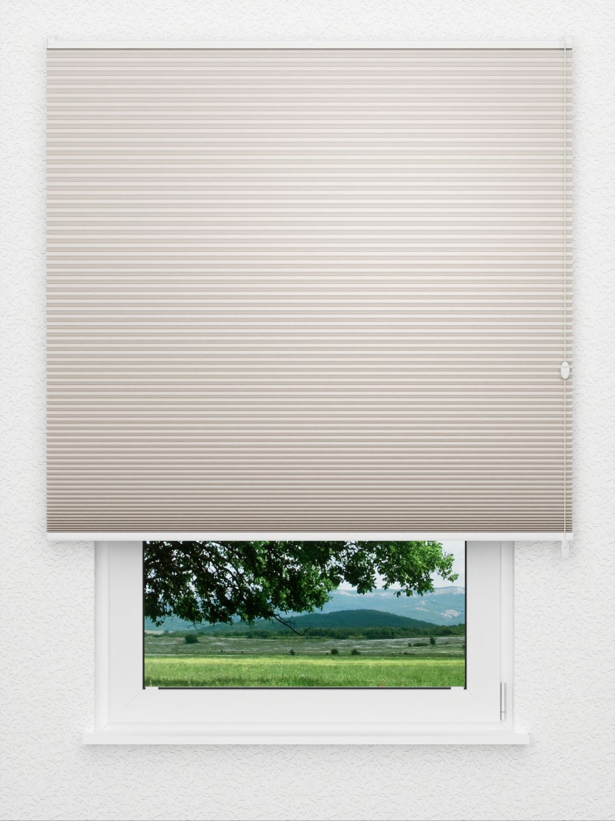 Detailansicht Honeycomb Balto 1.361.26