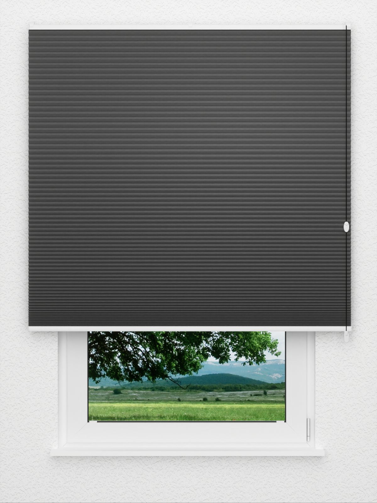 Detailansicht Honeycomb Clossy 4.700.11