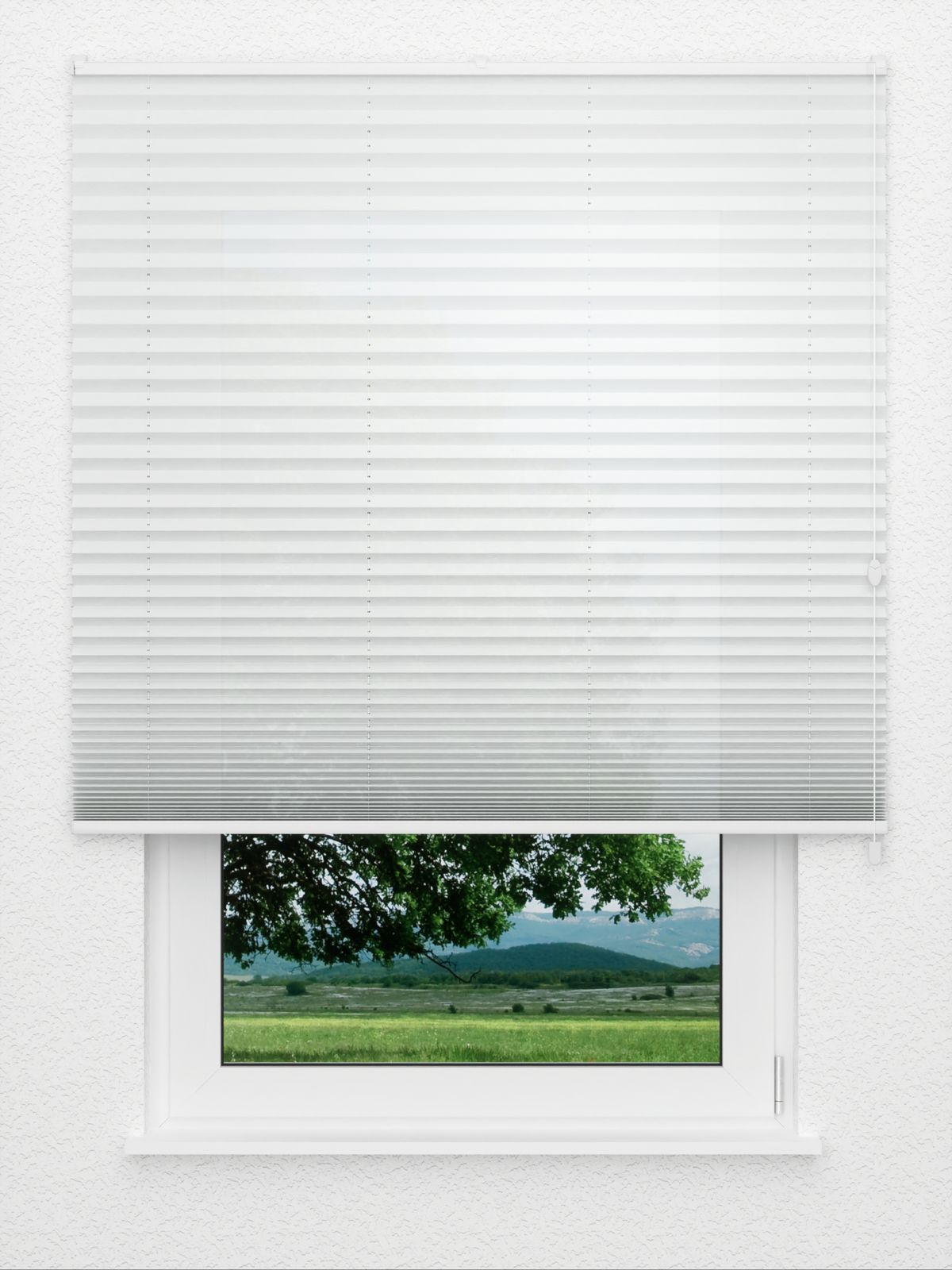 Detailansicht Rising 1.191.96