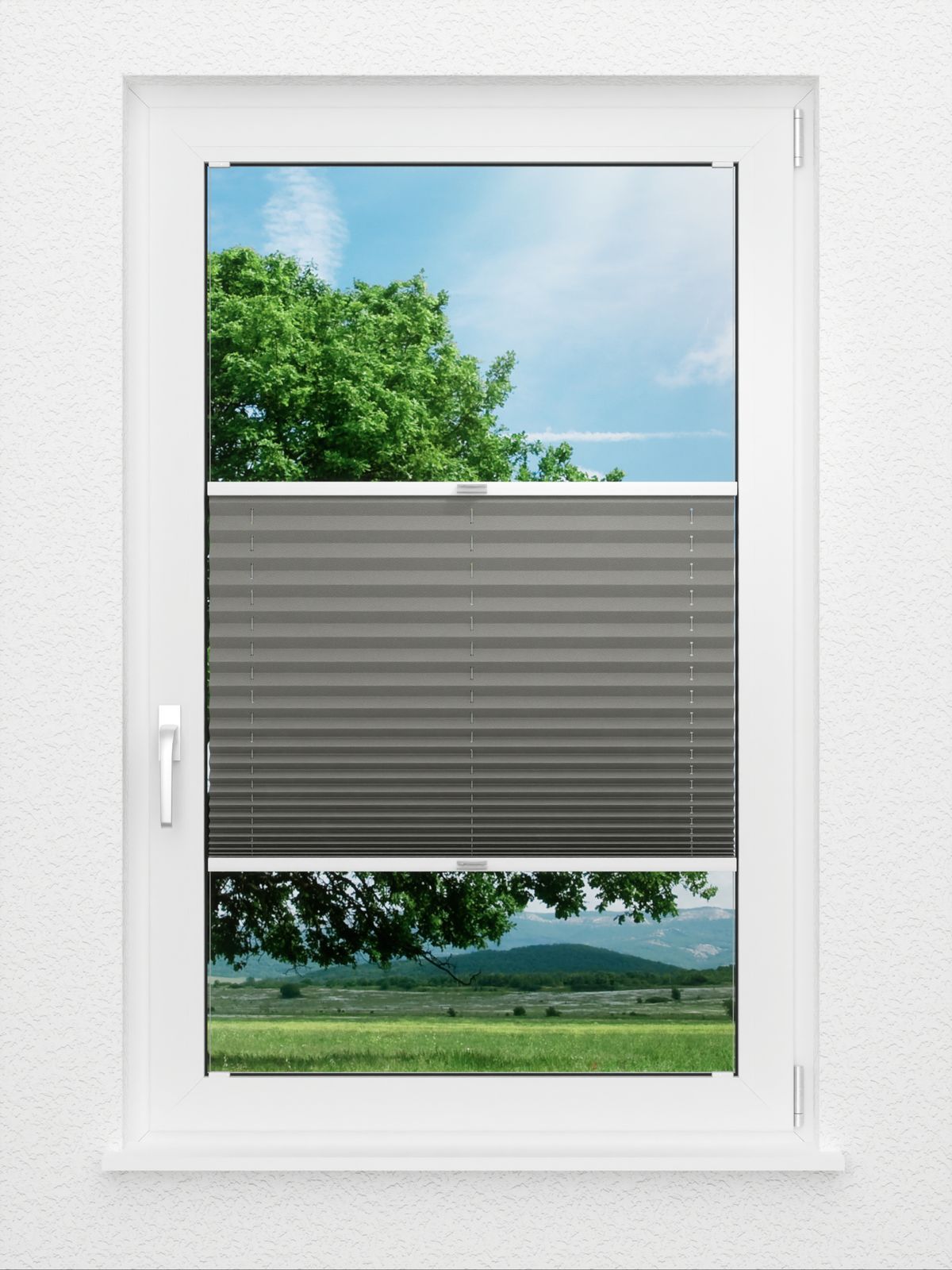Detailansicht Color Life 0.126.45