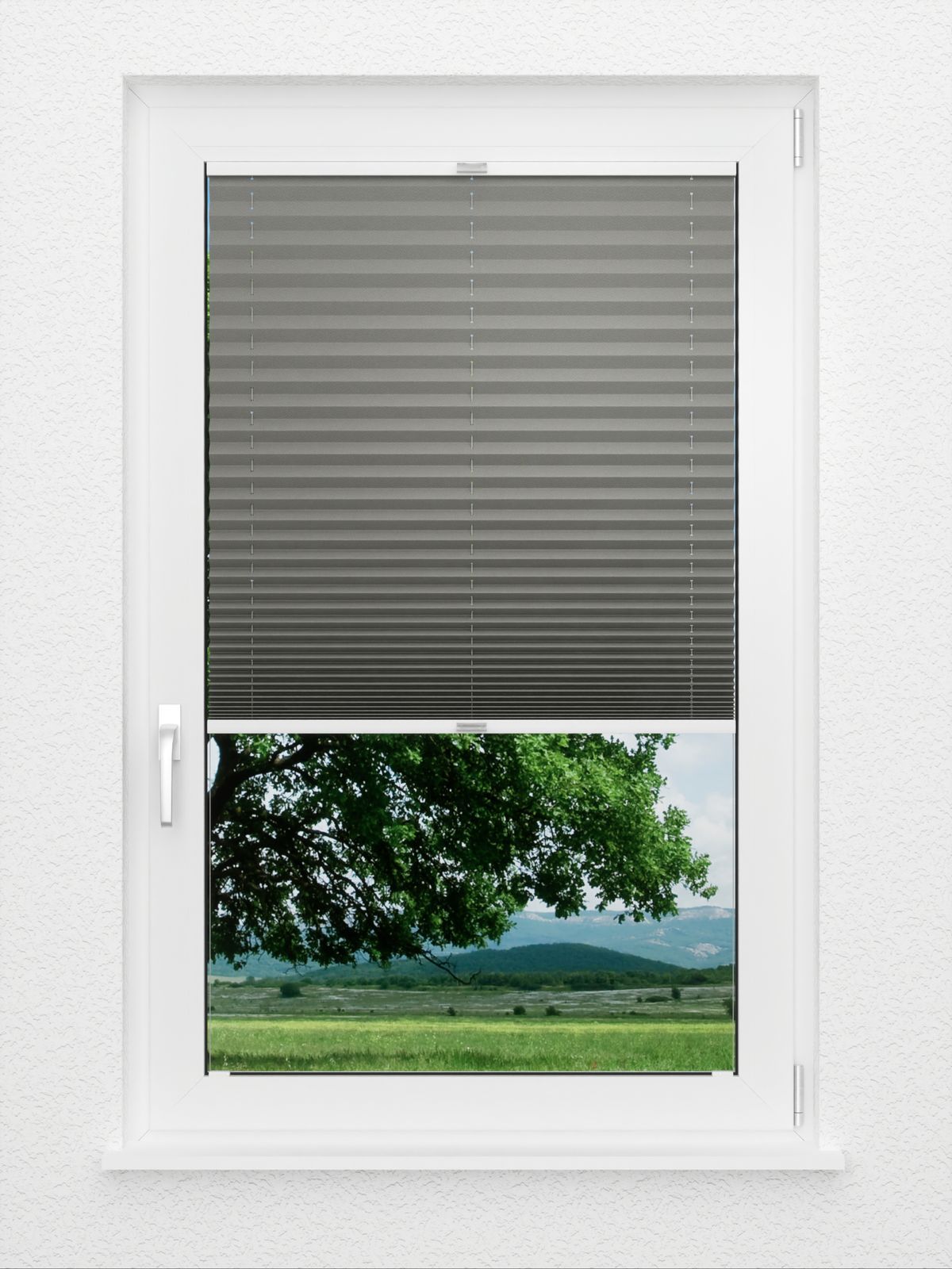 Detailansicht Color Life 0.126.45