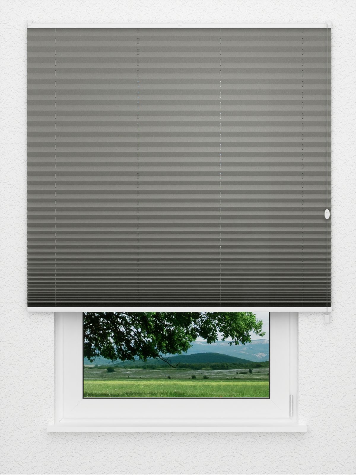 Detailansicht Color Life 0.126.45