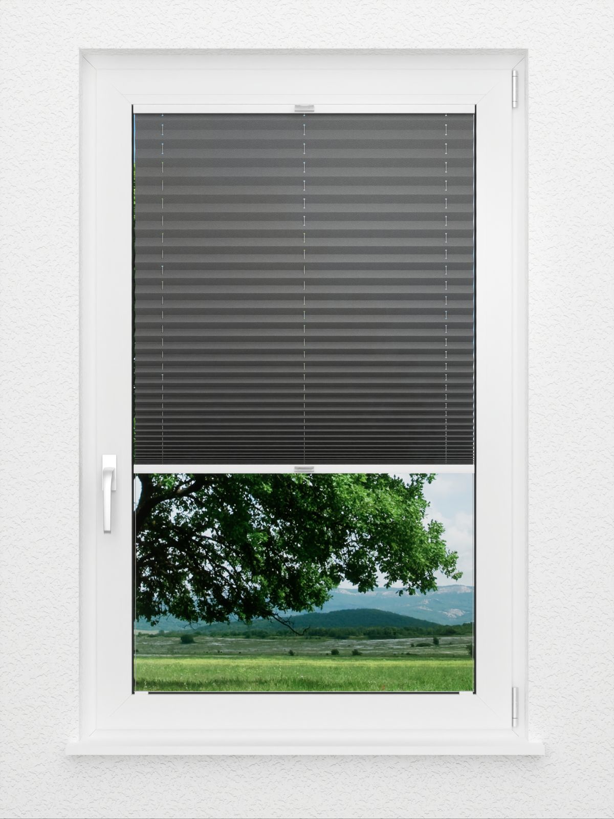 Detailansicht Color Life 0.126.55