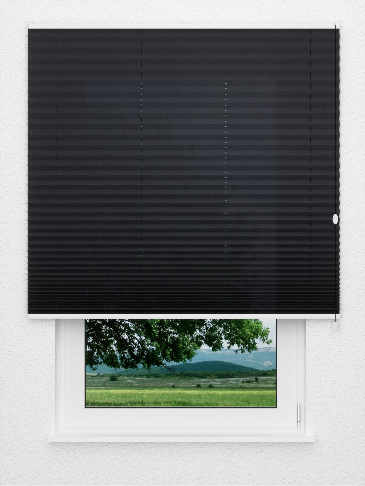 Detailansicht Color Life 0.126.65