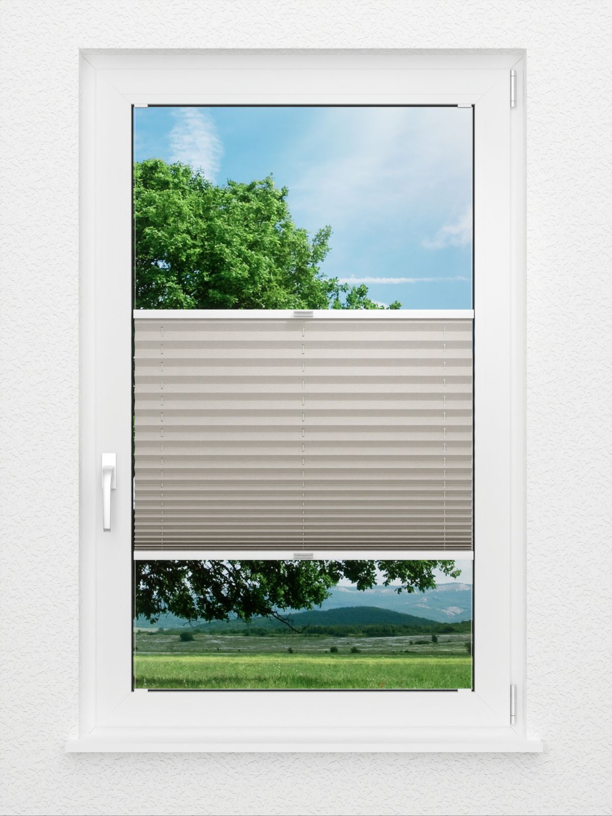 Detailansicht Color Pearl 1.155.96