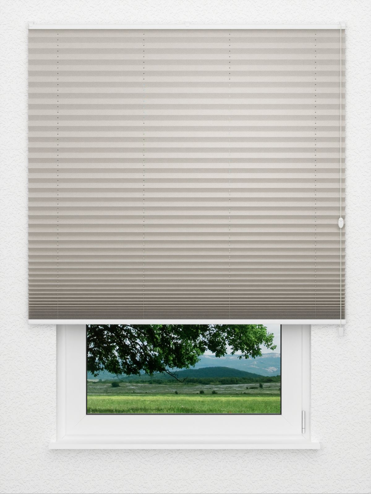 Detailansicht Color Pearl 1.155.96