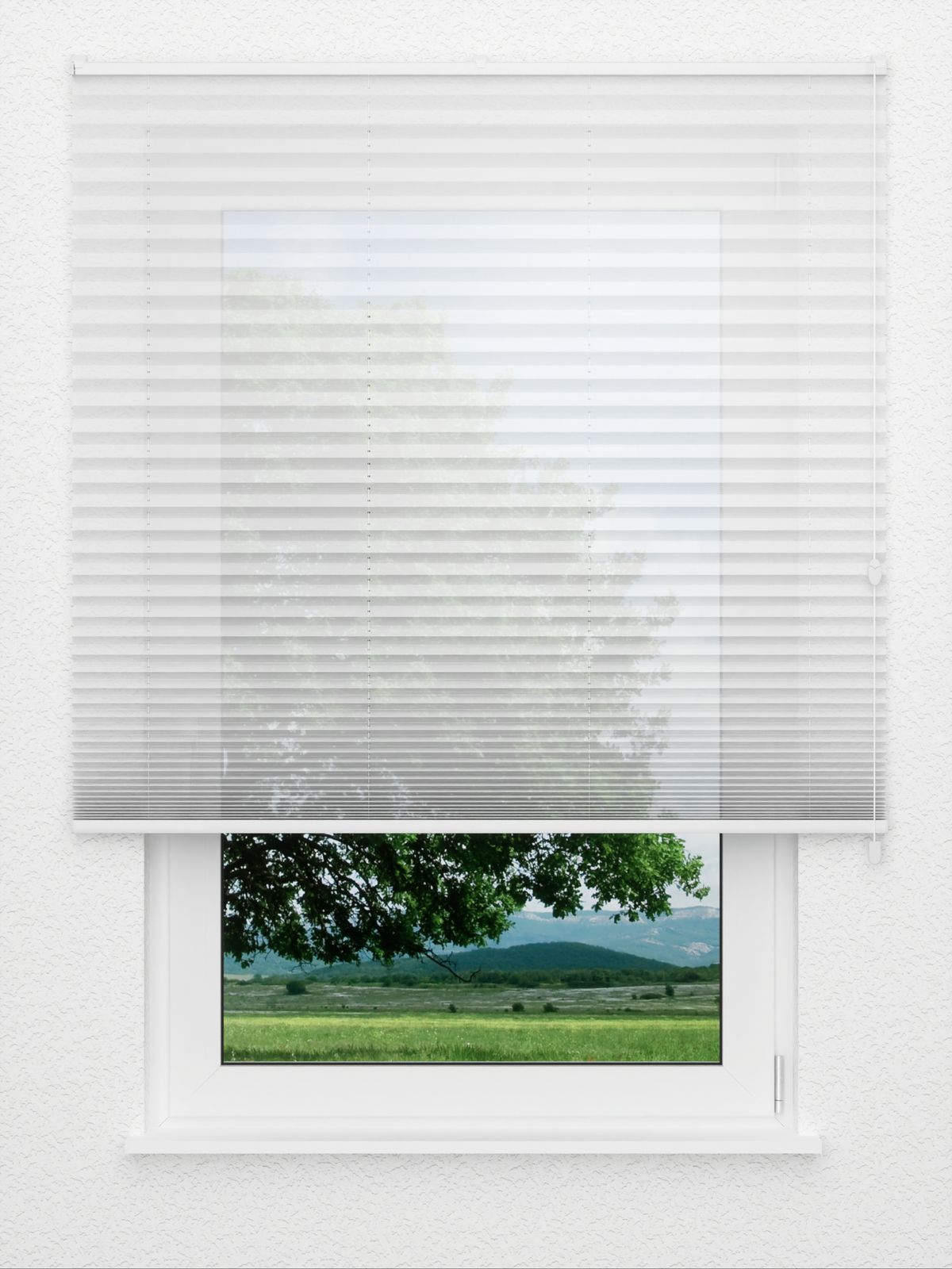 Detailansicht Coolaris 2.320.57