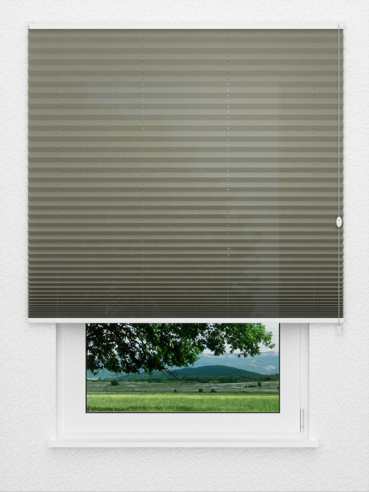 Detailansicht Color Life 0.145.55