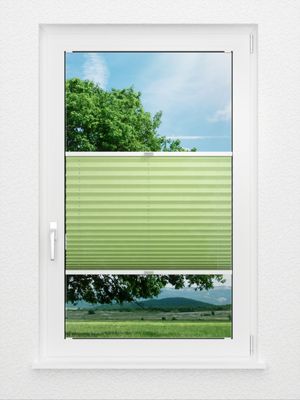 Preview Plissee Colour Life B1 1.020.66 0