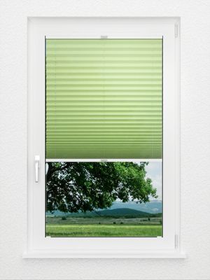 Preview Plissee Colour Life B1 1.020.66 1