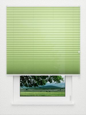 Preview Plissee Colour Life B1 1.020.66 3