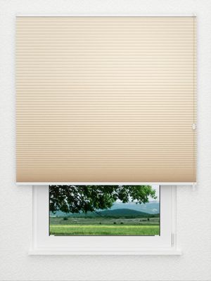 Preview Honeycomb Balto 1.360.36 3