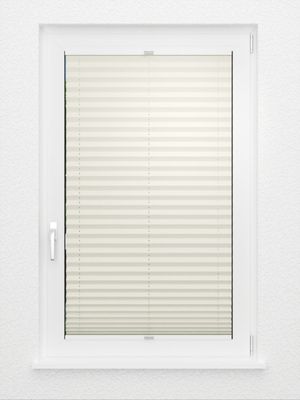 Preview Plissee Colour Life B1 2.016.07 2