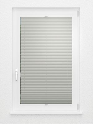 Preview Plissee Colour Life B1 2.016.27 2