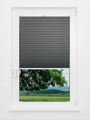 Preview Plissee Colour Life B1 2.016.37 1