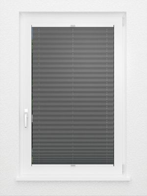 Preview Plissee Colour Life B1 2.016.37 2