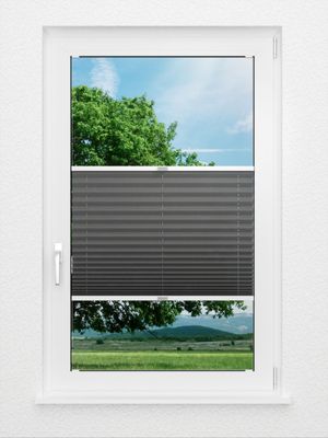 Preview Color Life 0.126.55 0