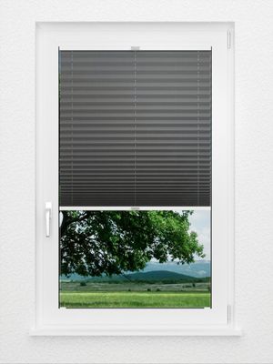 Preview Color Life 0.126.55 1