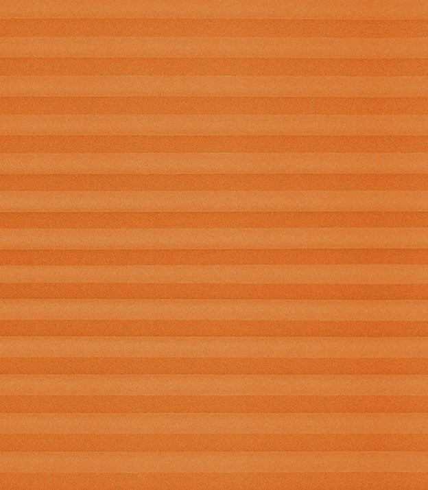 Detailansicht Plissee Colour Life B1 1.020.16