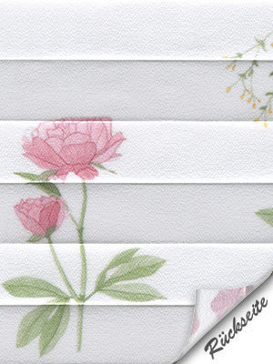 Preview Plissee Flower Dream 3.885.58 5