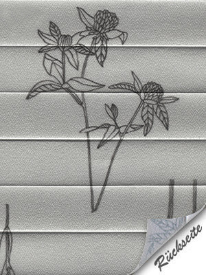 Preview Plissee Flowers 3.855.38 5