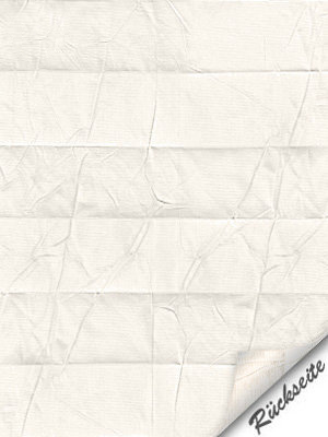 Preview Plissee Structure Pearl 2.140.77 5