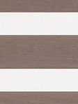 Xinca 6501 Detailansicht