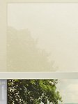Rollo grün 10290 Fensteransicht