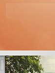 Rollo orange 10134 Fensteransicht