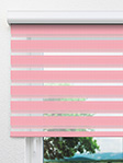 Doppelrollo Emden 10473 Fensteransicht